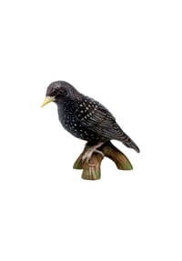 Goebel Figur Vogel des Jahres 2018 - Star - Vogel des Jahres - Bunt