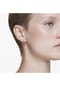 SWAROVSKI CHROMA Damen Creolen Bild 9