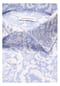seidensticker Leinenhemd Schwarze Rose Bild 10