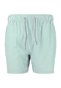 CRUZ - Badeshorts Kenny in zeitlosem Streifenmuster - Print 3505