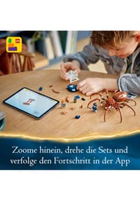 Bild 13