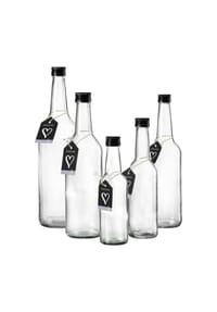 Ritzenhoff & Breker Flaschen-Set Mara 5er Set transparent - MARA - transparent