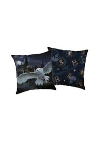 COFI - Harry Potter 1 Stück Kissen Kuschelkissen mit doppelseitigem Druck - Transparent