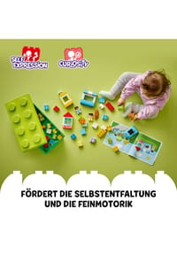 Bild 12