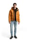 TOM TAILOR Puffer-Jacke, Stehkragen, für Herren Bild 9