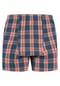 Sugar Pine Boxer Mix Karos Bild 14