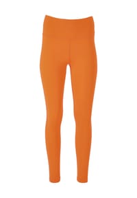 ENDURANCE ATHLECIA - Tights Gaby mit bequemem Dehnbund - 3107 Walnut