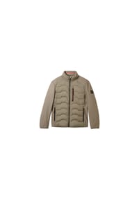 TOM TAILOR - Steppjacke, Stehkragen, für Herren - 32097 SMOKEY OLIV