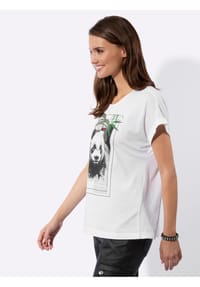 Bild 7