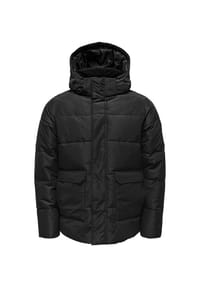 ONLY & SONS - Jacke - Black