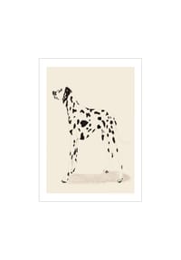  POSTER & FRAME® - Poster  Jenny Liz Rome - Dalmation - 30 x 40 cm