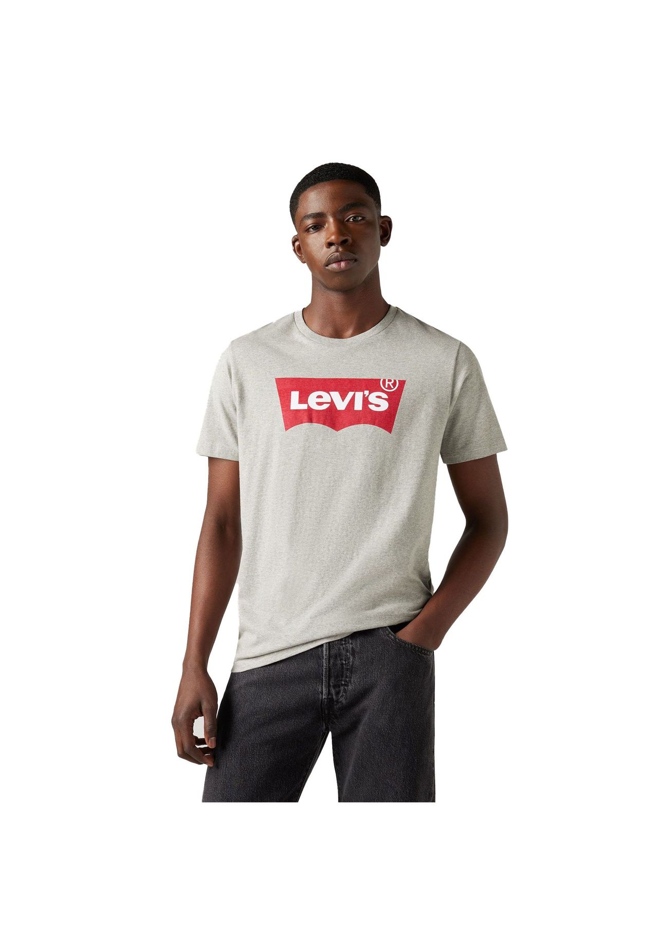 Levi's® T-Shirt, Logo-Print, Rundhals, FüR Herren, Grau, XXL