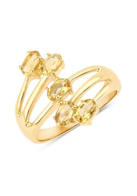 Rafaela Donata - Ring 925/- Sterling Silber - gelbgold