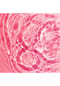 NUXE VERY ROSE Refreshing Tonic Lotion Bild 3