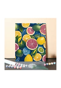 ARTNANAS - ARTNANAS DIY Malen nach Zahlen Set-"Zitruszauber" ohne Rahmen in 40*50CM - 