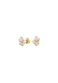 ARTE NOVA - Ohrringe Olivia - Gold