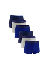 UNDER ARMOUR - Herren Boxershorts, 6er Pack - Performance Tech Trunks, Stretch, einfarbig - Blau/Grau