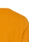 camel active T-Shirt mit Print aus nachhaltigem Organic Cotton Bild 16