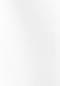 seidensticker Business Hemd Schwarze Rose Bild 12