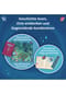 KOSMOS Adventure Puzzle: Das Licht im Zauberwald Bild 14