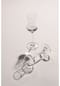 SCHOTT ZWIESEL Digestifglas "Classico", 6er-Set Classico Bild 11