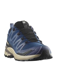 salomon - Trailrunning-Schuh XA PRO 3D V9 GORE-TEX - poseidon/white pepper/falcon