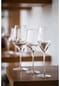 Stölzle Lausitz Champagner Tastinggläser Exquisit 18er Set EXQUISIT Bild 5
