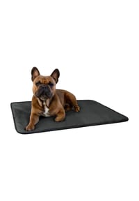 Aspero® - Hundedecke Lund - 