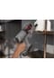 AEG Akku-Staubsauger "Animal 7000 AP71AB14UG" Bild 11
