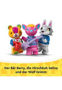 Bild 16