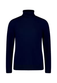 BETTY BARCLAY - Rollkragenpullover langarm - beige