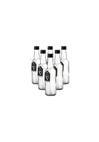 Ritzenhoff & Breker Flaschen Mara 250 ml 6er Set transparent - MARA - transparent