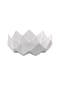 KAISER 1872 Schale Polygono Star Polygono Bild 1