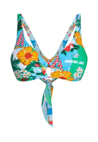 SEAFOLLY - Triangle-Bikini-Oberteil Viva Vacation, breite Träger, für Damen - POWDER BLUE