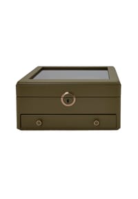 WOLF - Earth Watch Standbox - braun
