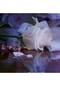 Maison Margiela REPLICA Up At Dawn, Eau de Toilette Bild 10
