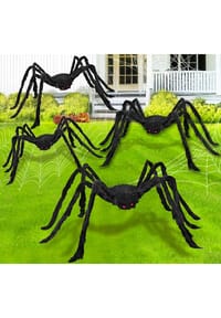 Bild 7