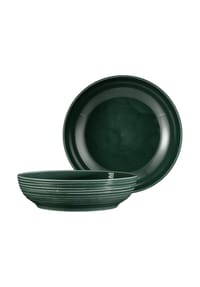Seltmann Weiden Foodbowl Terra ø 25,5 cm 2er Set - TERRA - beige