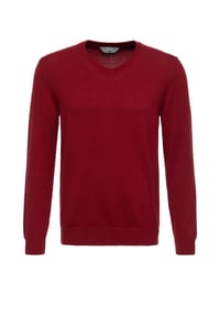 WAY OF GLORY - V-Ausschnitt-Pullover mit dezenter Logo-Stickerei auf der Brust - anthrazit