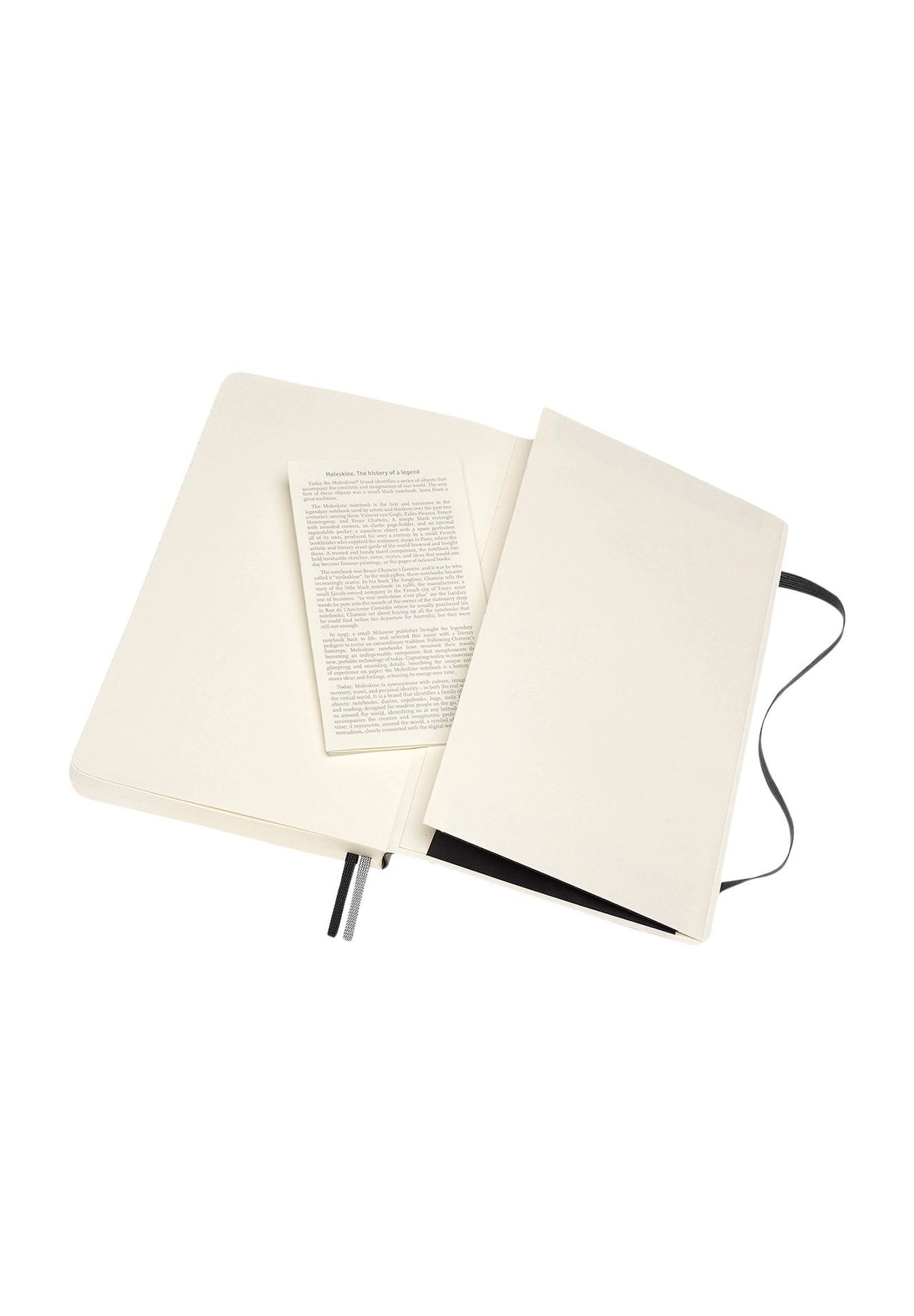 MOLESKINE® Notizbuch 