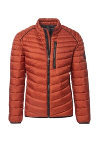 CASAMODA - Steppjacke, Stehkragen, für Herren - 336 GRUEN