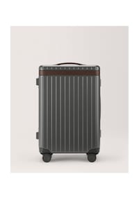 CARL FRIEDRIK HYBRID - The Carry-on - grau/braun