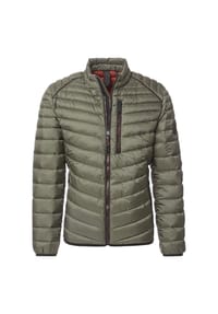 CASAMODA - Steppjacke, Stehkragen, für Herren - 336 GRUEN