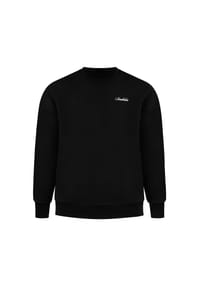 SMILODOX - Sweatshirt Feyd - Lila