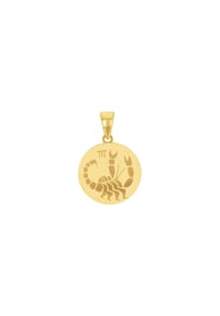 amor Skorpion - Motivanhänger für Damen und Herren, Unisex, Gold 375 | Skorpion - Gold