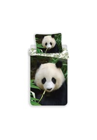 COFI - Panda Design Kuschelige Bettwäsche Baumwolle, 140x200 cm & 70x90 cm - Mehrfarbig 200x140 + 70x90 cm