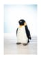 Steiff Kuscheltier "Palle Koenigspinguin", 52cm Bild 2