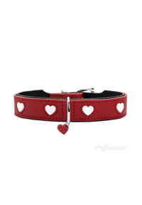 HUNTER - Hundehalsband "Love", XS-S - 