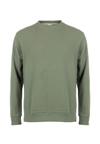 ROADSIGN® australia - Herren Sweatshirt Coast in Wabenstruktur & Ärmelprint - grün