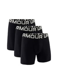 UNDER ARMOUR - Herren Boxershorts, 3er Pack - Performance Tech Boxer Briefs, Stretch, einfarbig - Blau/Grau
